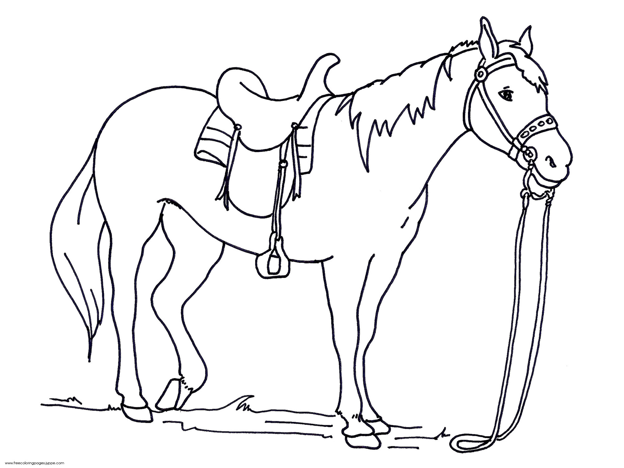 Realistic horse coloring pages to download and print for free