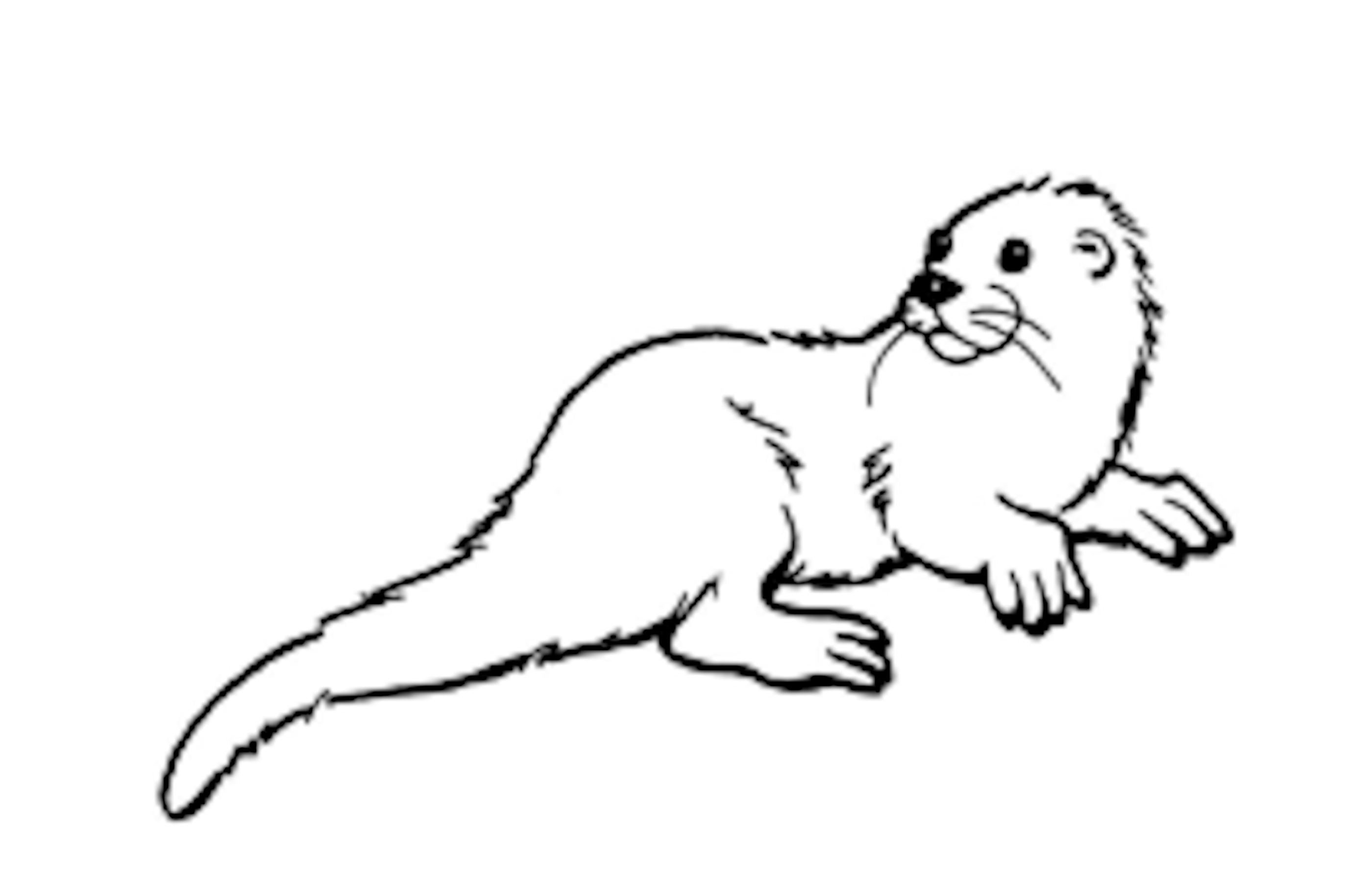 Otter Printable - Printable Word Searches