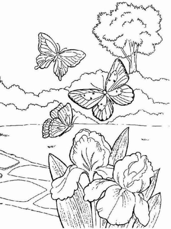  Spring bug coloring pages download and print for free