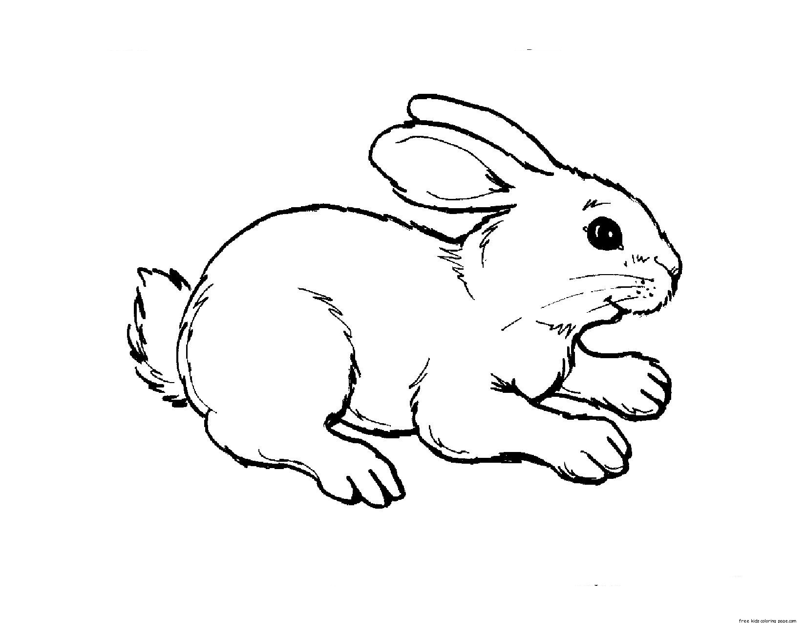 Printable Kids Coloring Pages Animal Rabbit 2