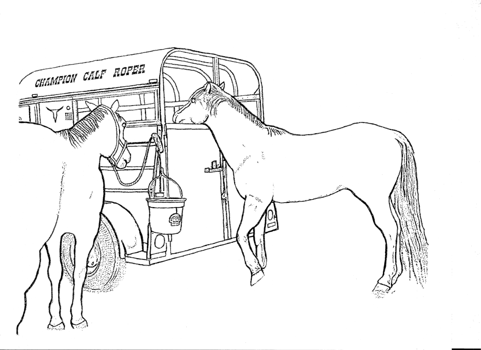horses herding cattle coloring pages