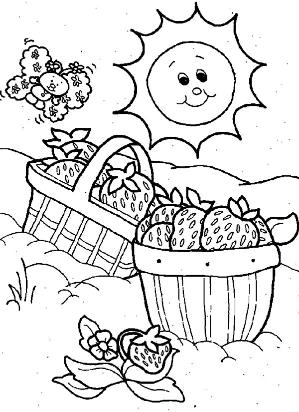 Picnic Coloring Pages For Kids Coloring Pages