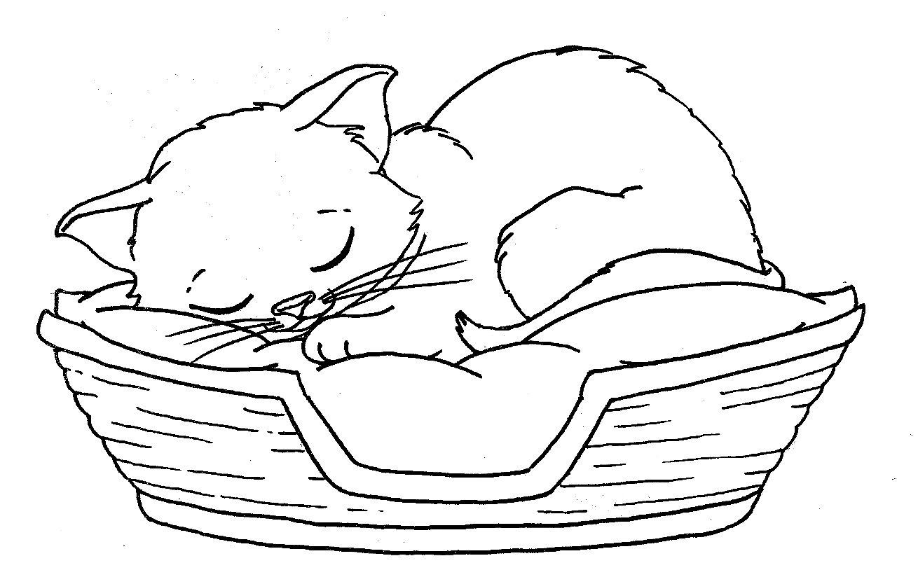 newborn kittens coloring pages