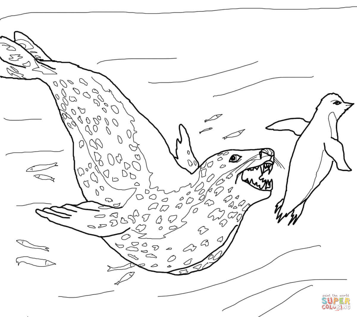 Download Leopard seal coloring pages download and print for free