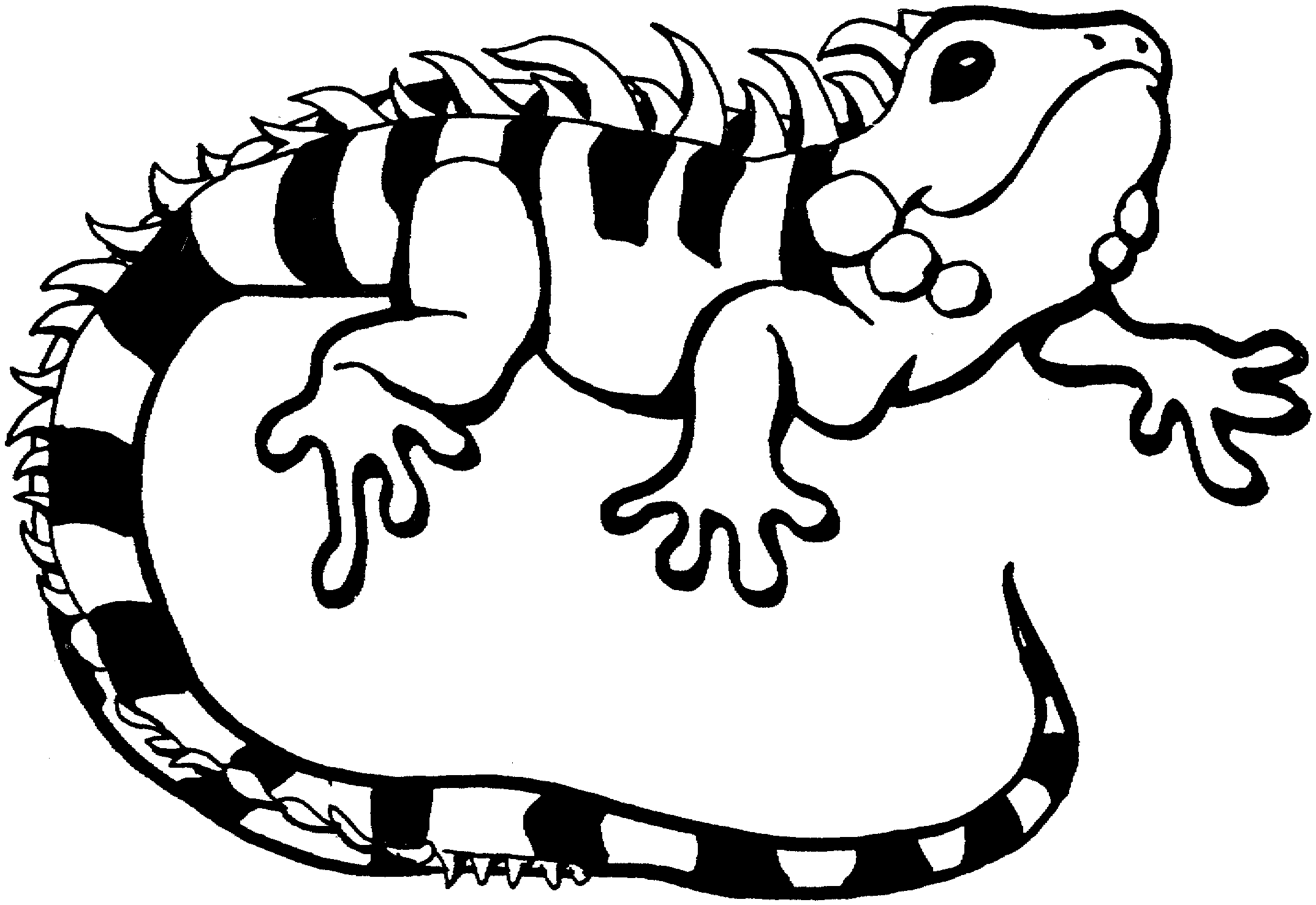 Free Reptile Coloring Pages Coloring Pages