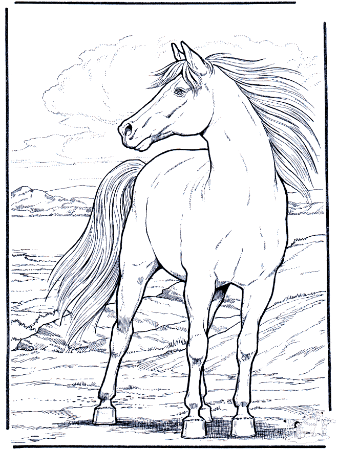 Realistic Horse Printable Coloring Pages 3