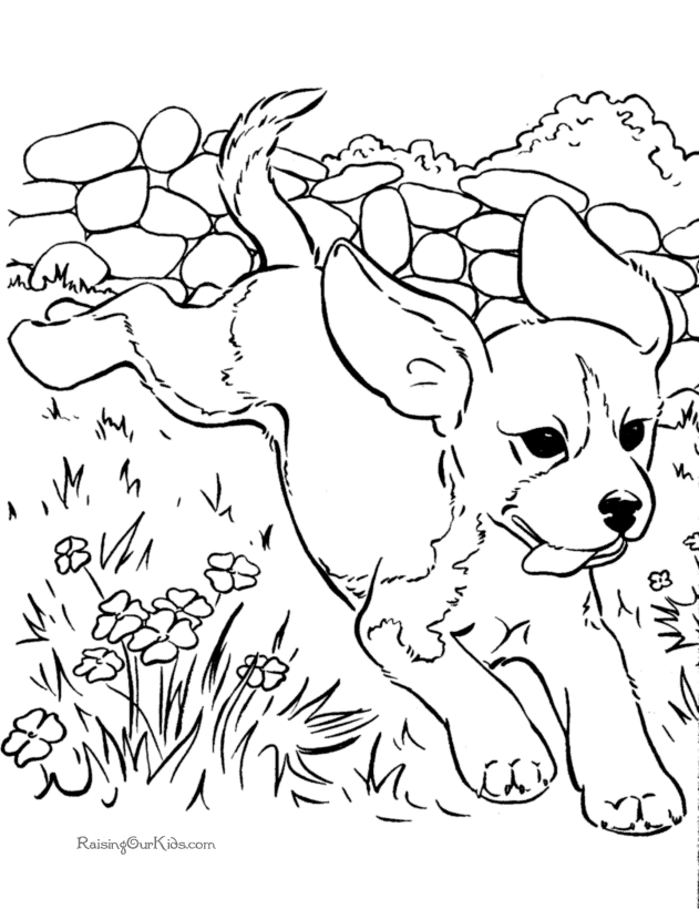Puppy Printable Coloring Page - Printable World Holiday