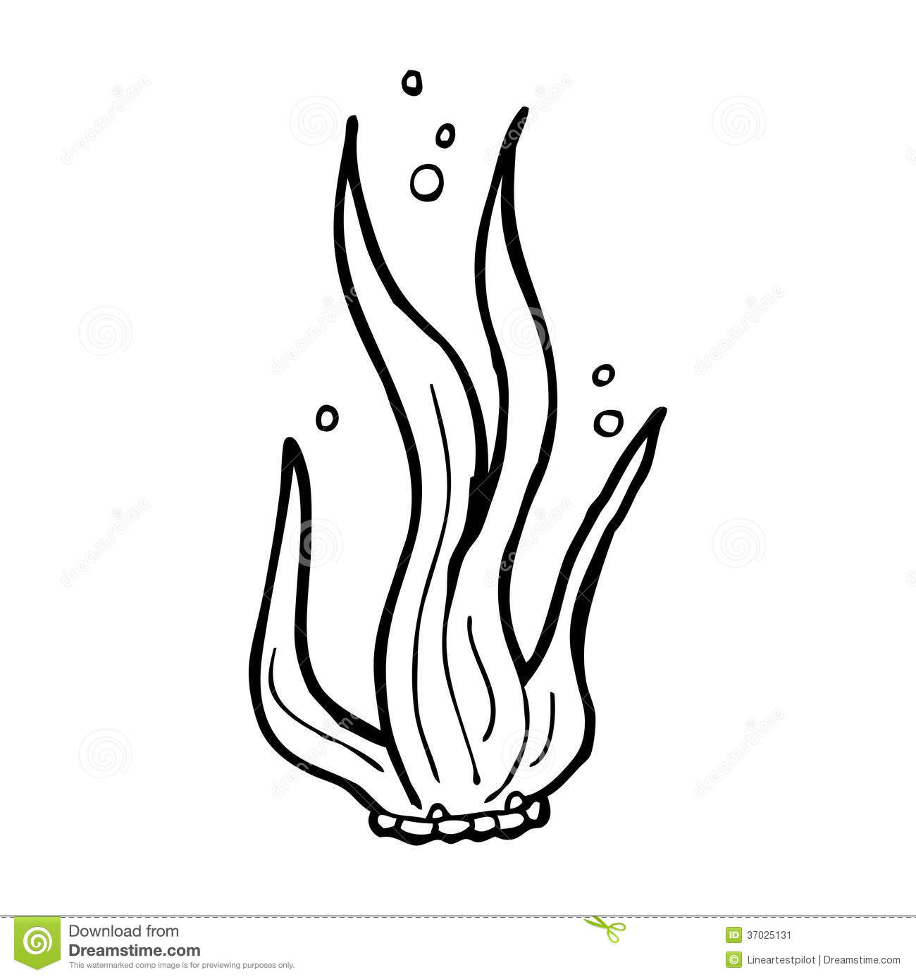 free sea plants coloring pages