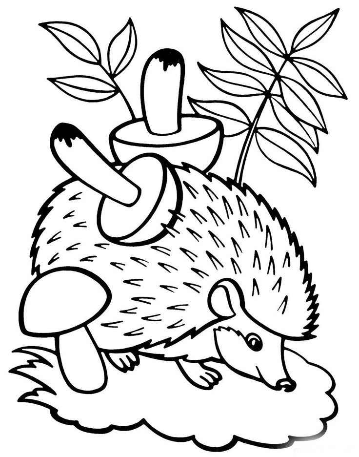 Forest animal Coloring Pages to download and print for free