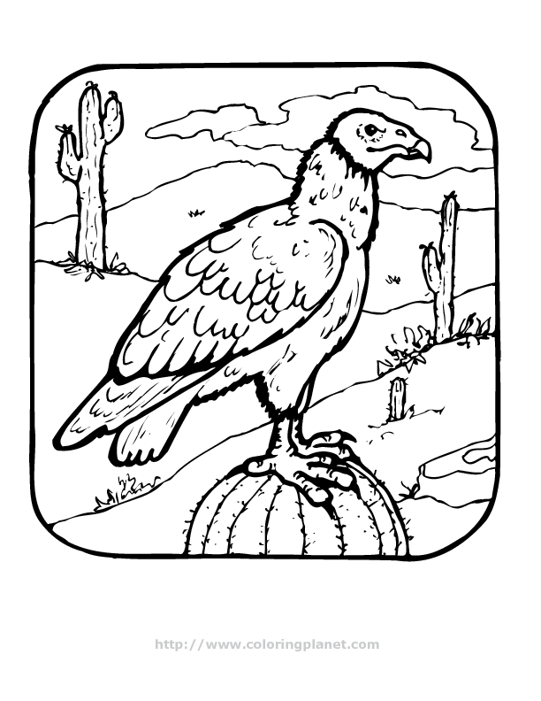 Free Vulture Coloring Pages 7