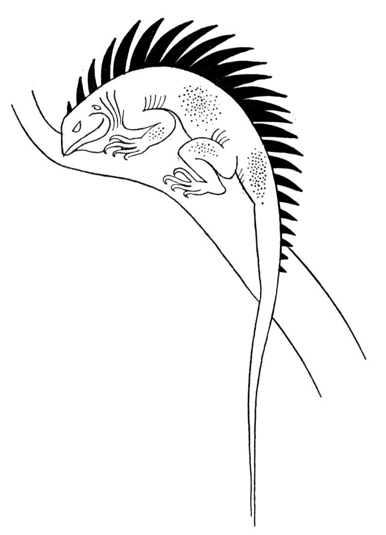 Monitor lizard coloring pages download and print for free