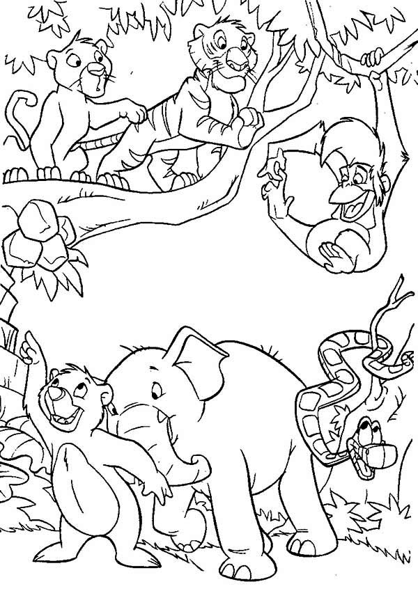 jungle animal coloring pages