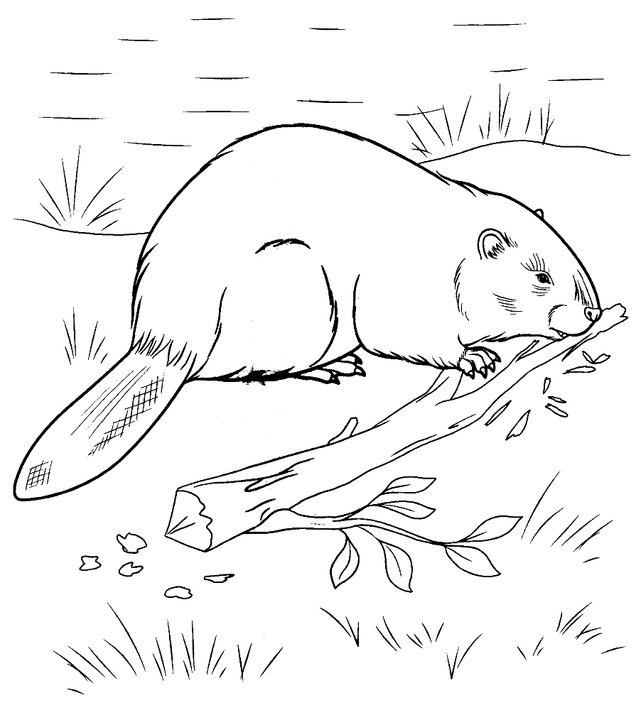 River coloring pages to download and print for free