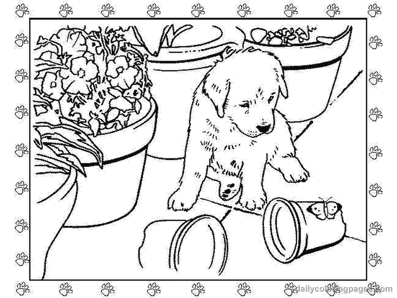 Realistic Dogs And Puppies Coloring Pages 5