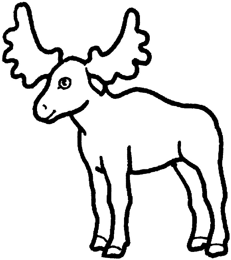 Moose Coloring Pages Printable
