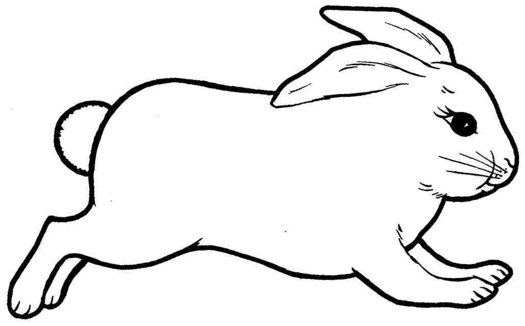 Bunny Rabbit Coloring Pages Print - boringpop.com