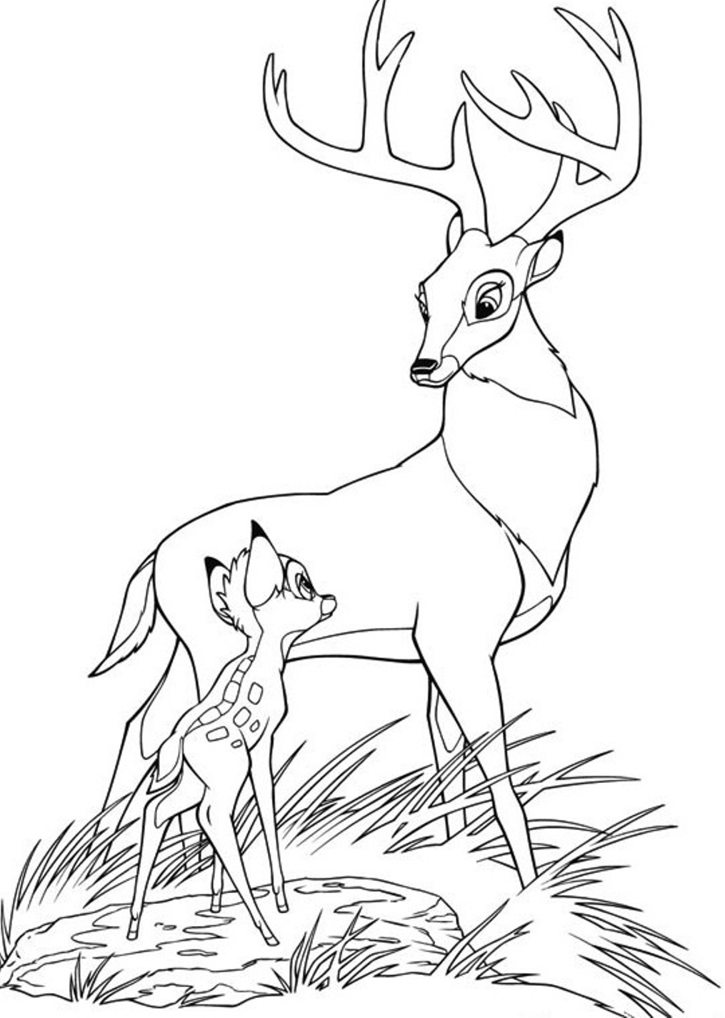 Раскраска олень с олененком