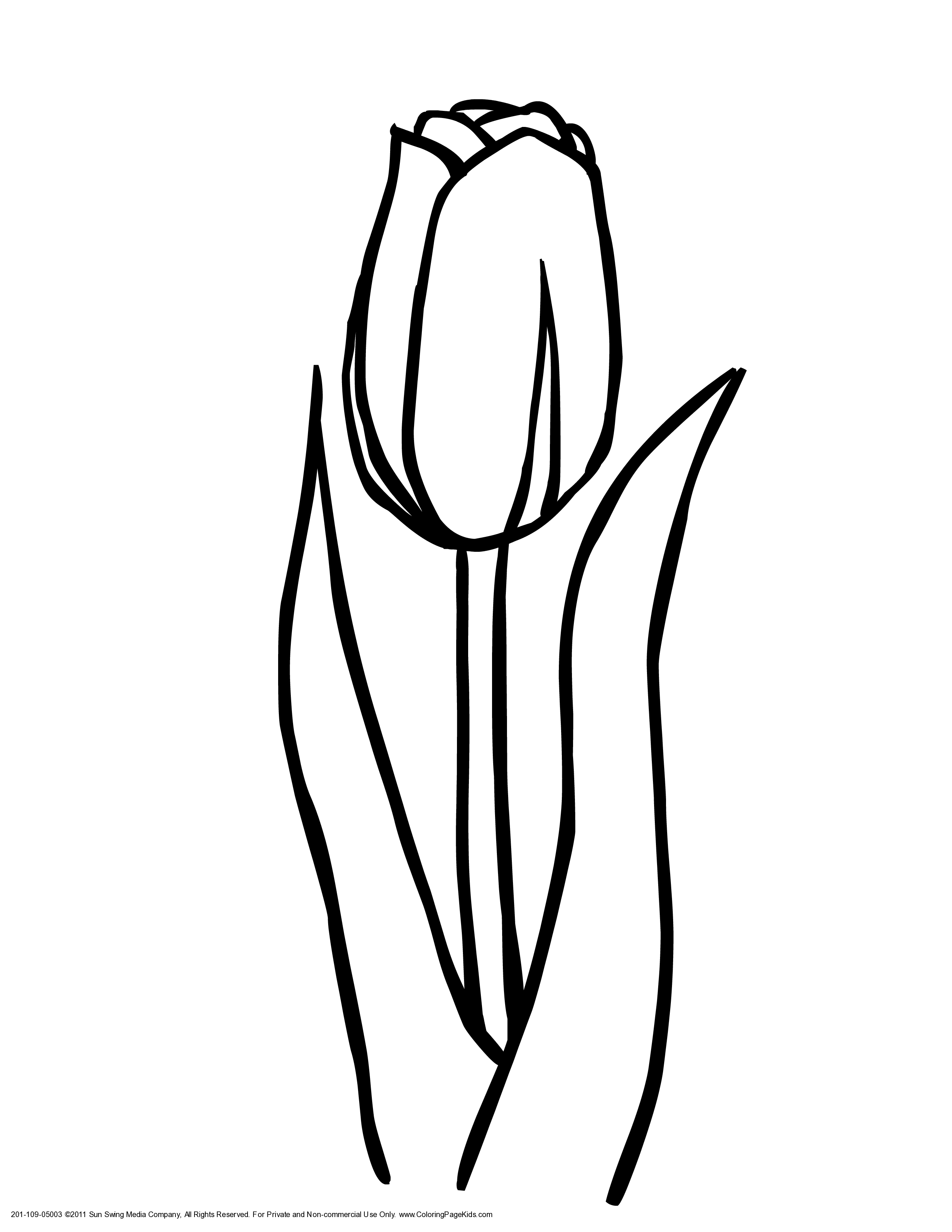 Tulip coloring pages to download and print for free