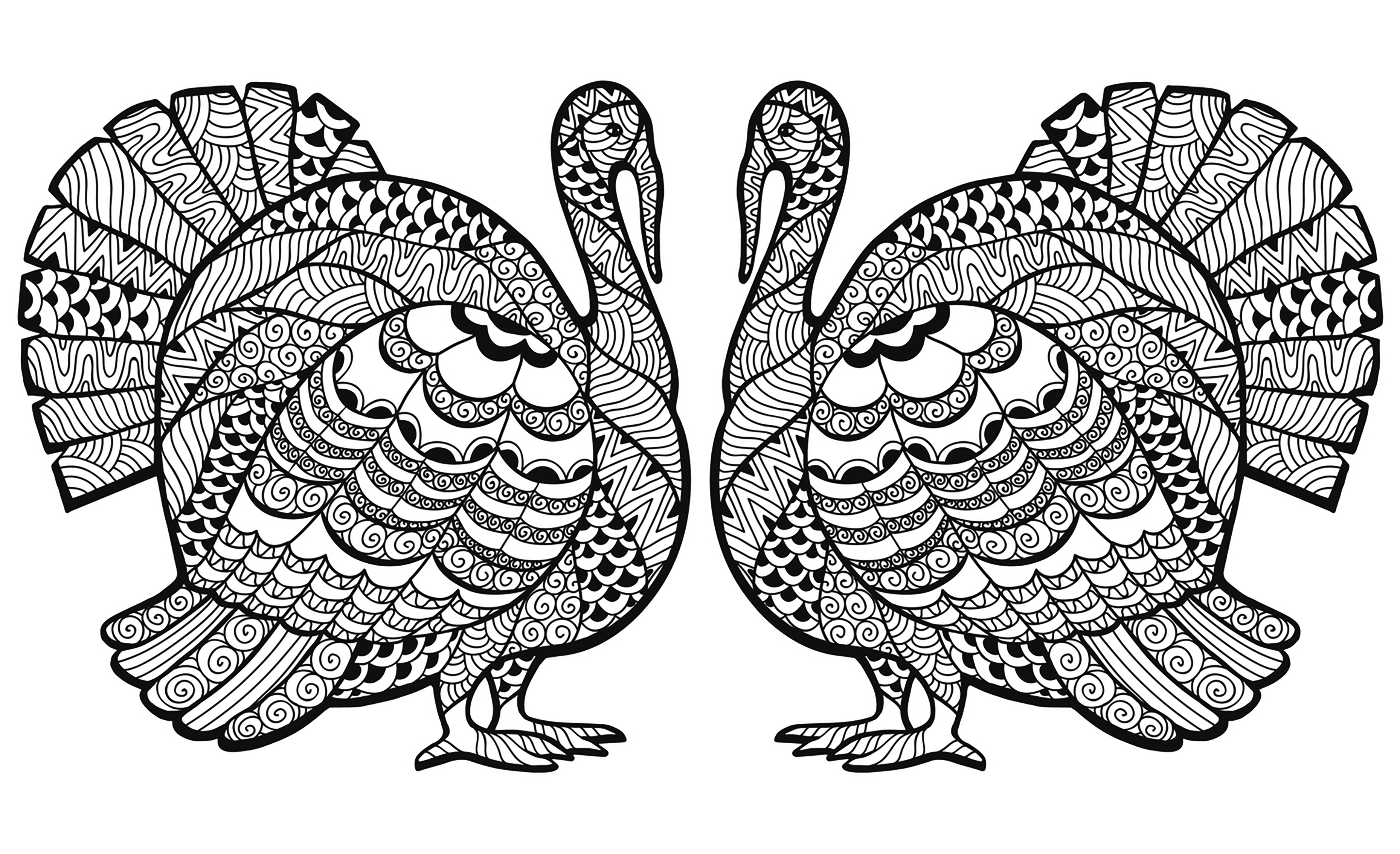 adult turkey coloring pages
