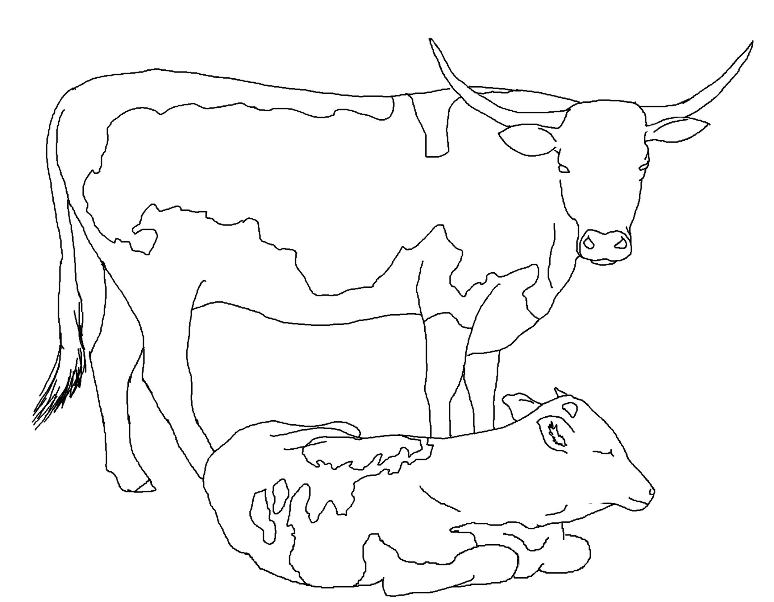 Cows coloring pages to download and print for free