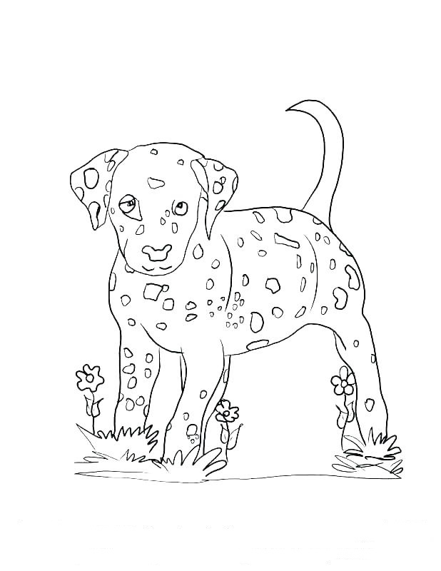 Hunting Dog Coloring Pages / Going Hunting on Foot with My Dog Coloring ...