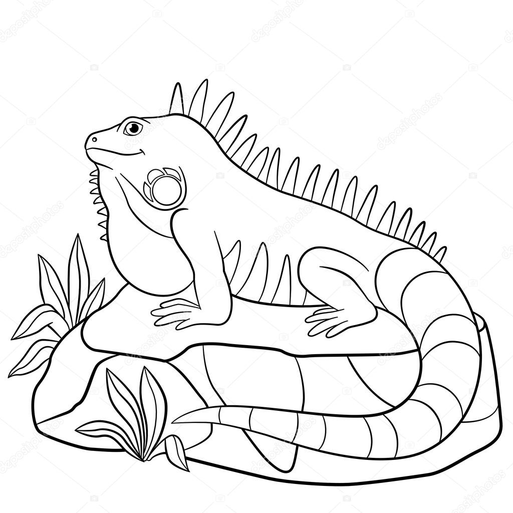 Download Iguana coloring pages to download and print for free
