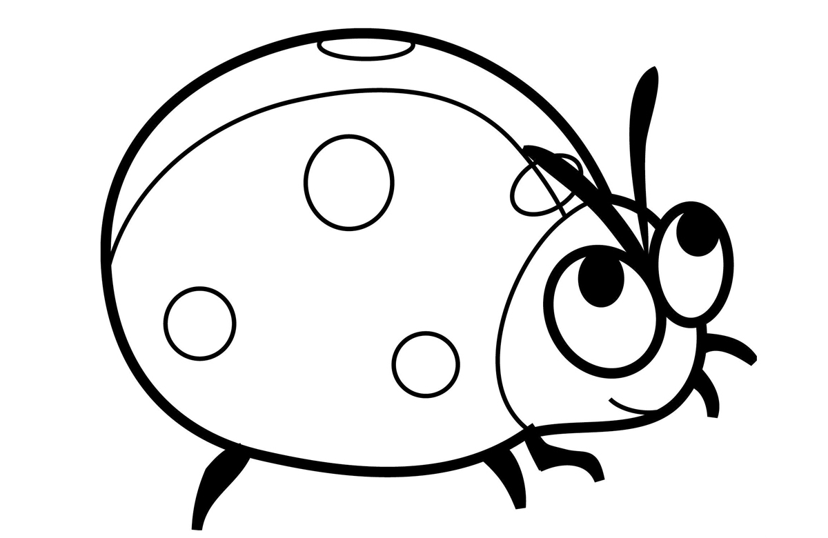 Small insect Coloring Pages to download and print for free
