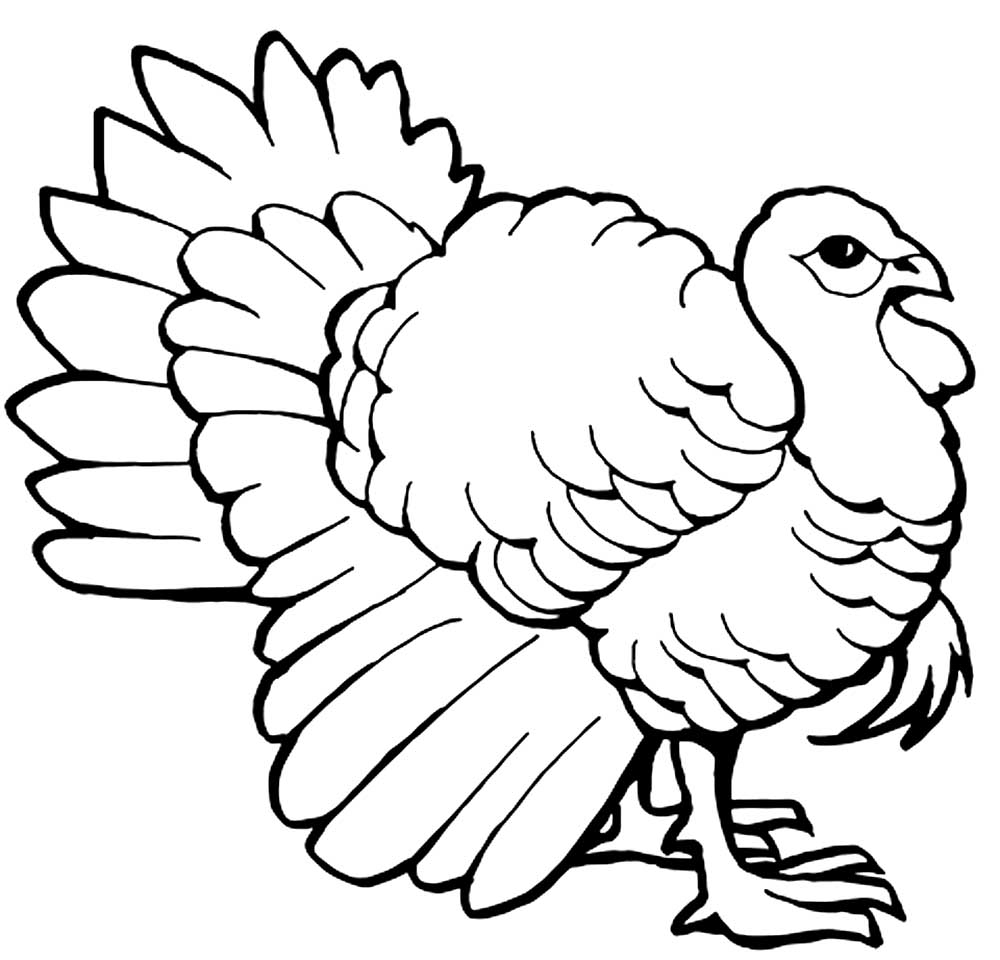 Turkey Coloring Pages to download and print for free