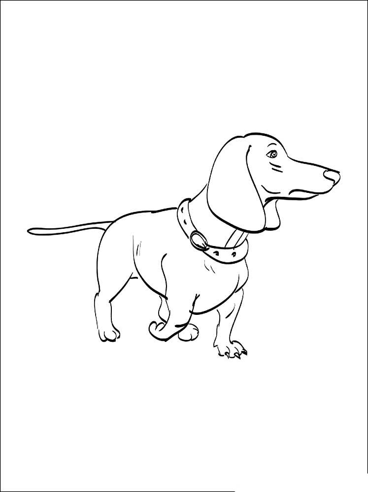 Dachshund dog Coloring Pages to download and print for free