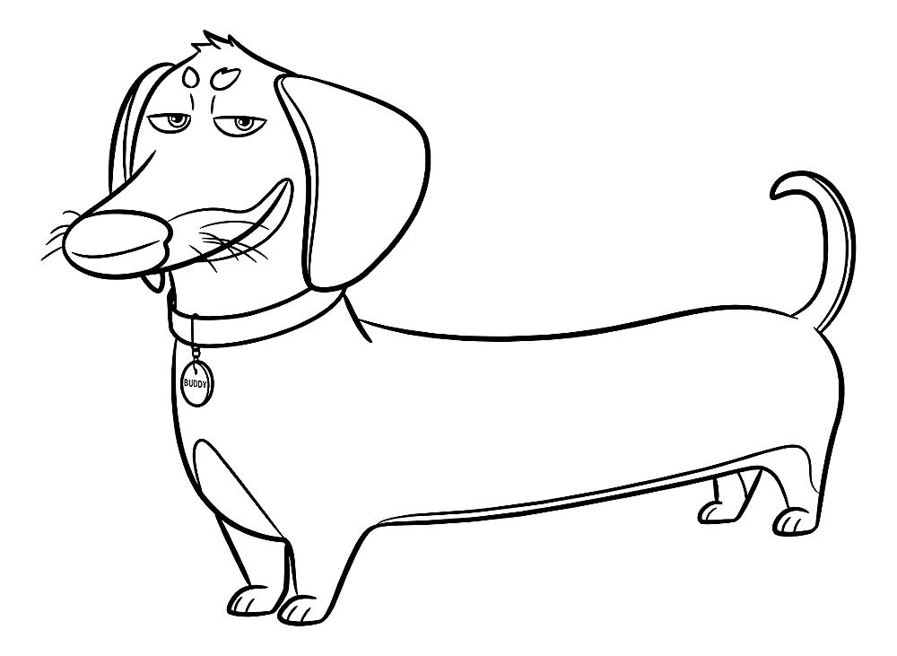 Download Dachshund dog Coloring Pages to download and print for free