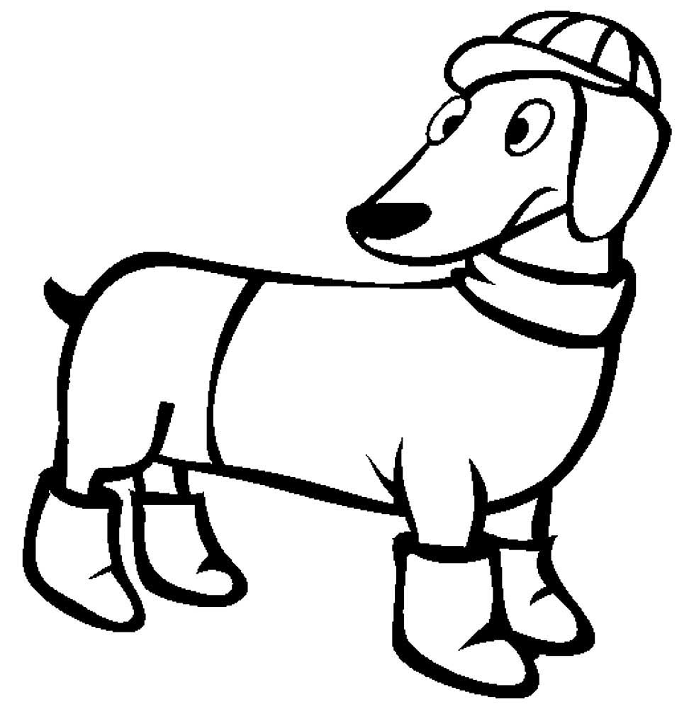 Dachshund dog Coloring Pages to download and print for free
