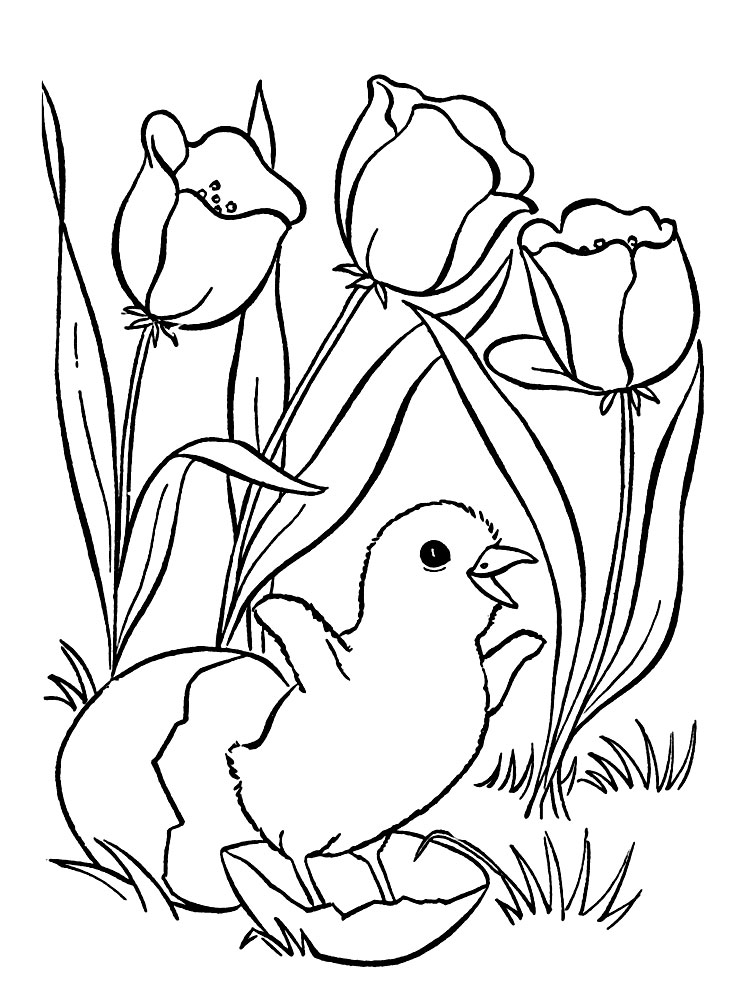 hand coloring pages