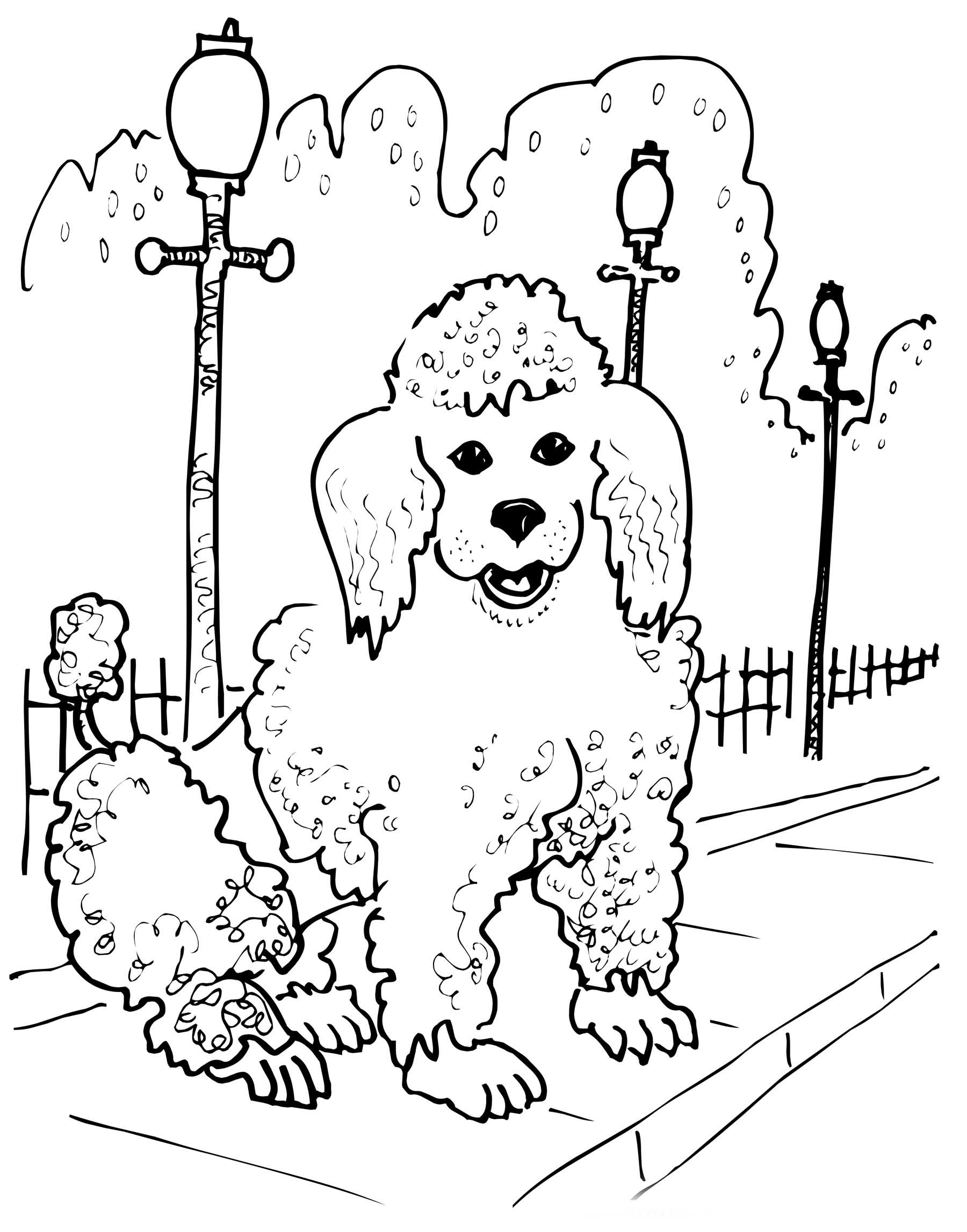 Poodle Coloring Pages to download and print for free