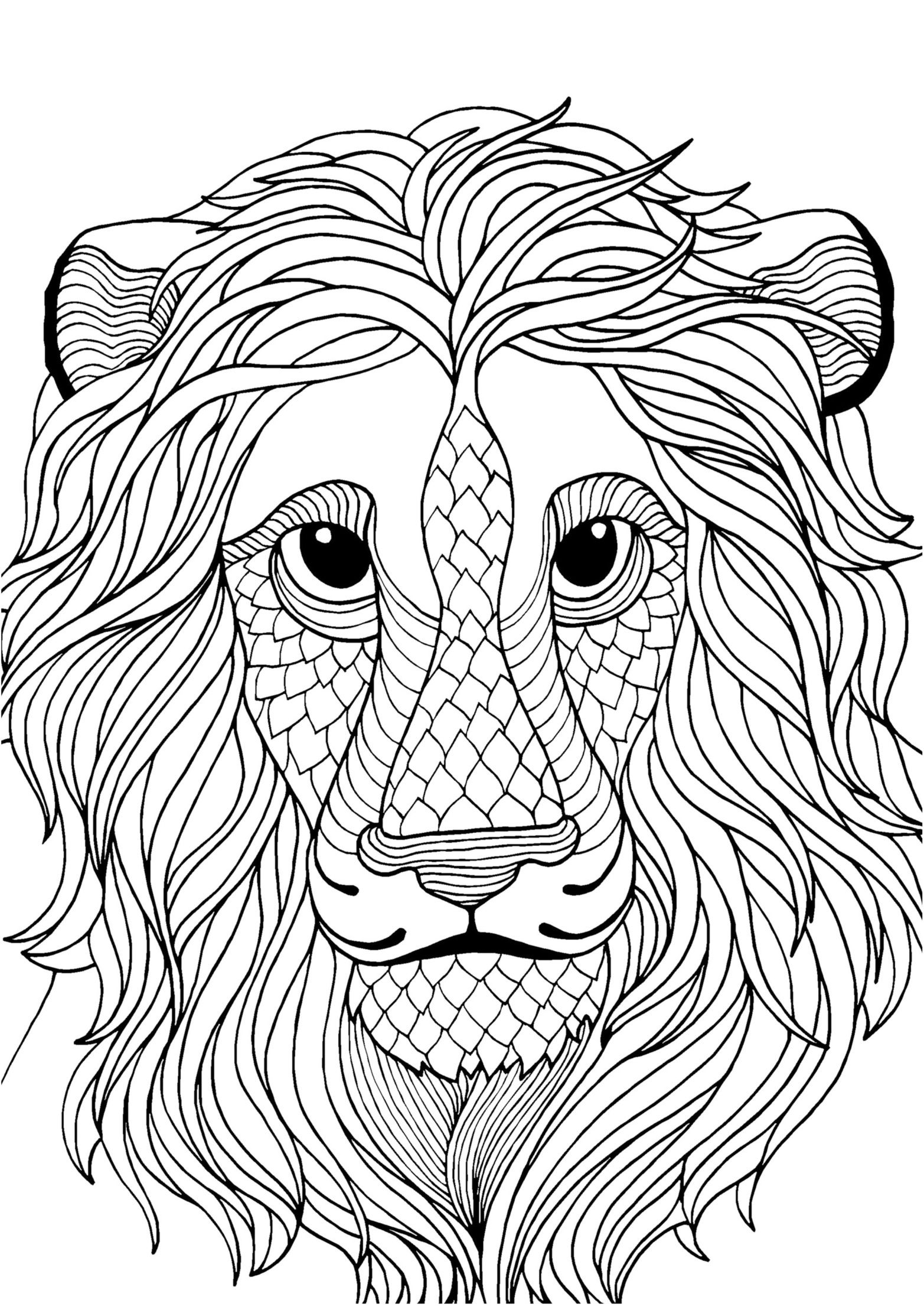 Antistress lion Coloring Pages to download and print for free