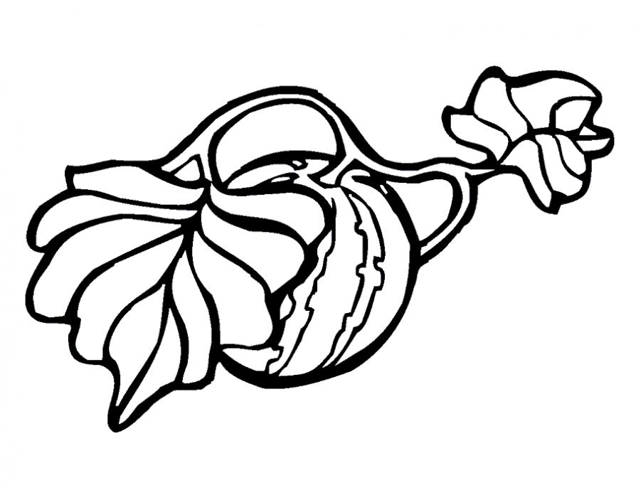 Watermelon coloring pages to download and print for free