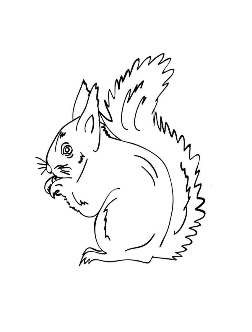 Forest animal Coloring Pages to download and print for free