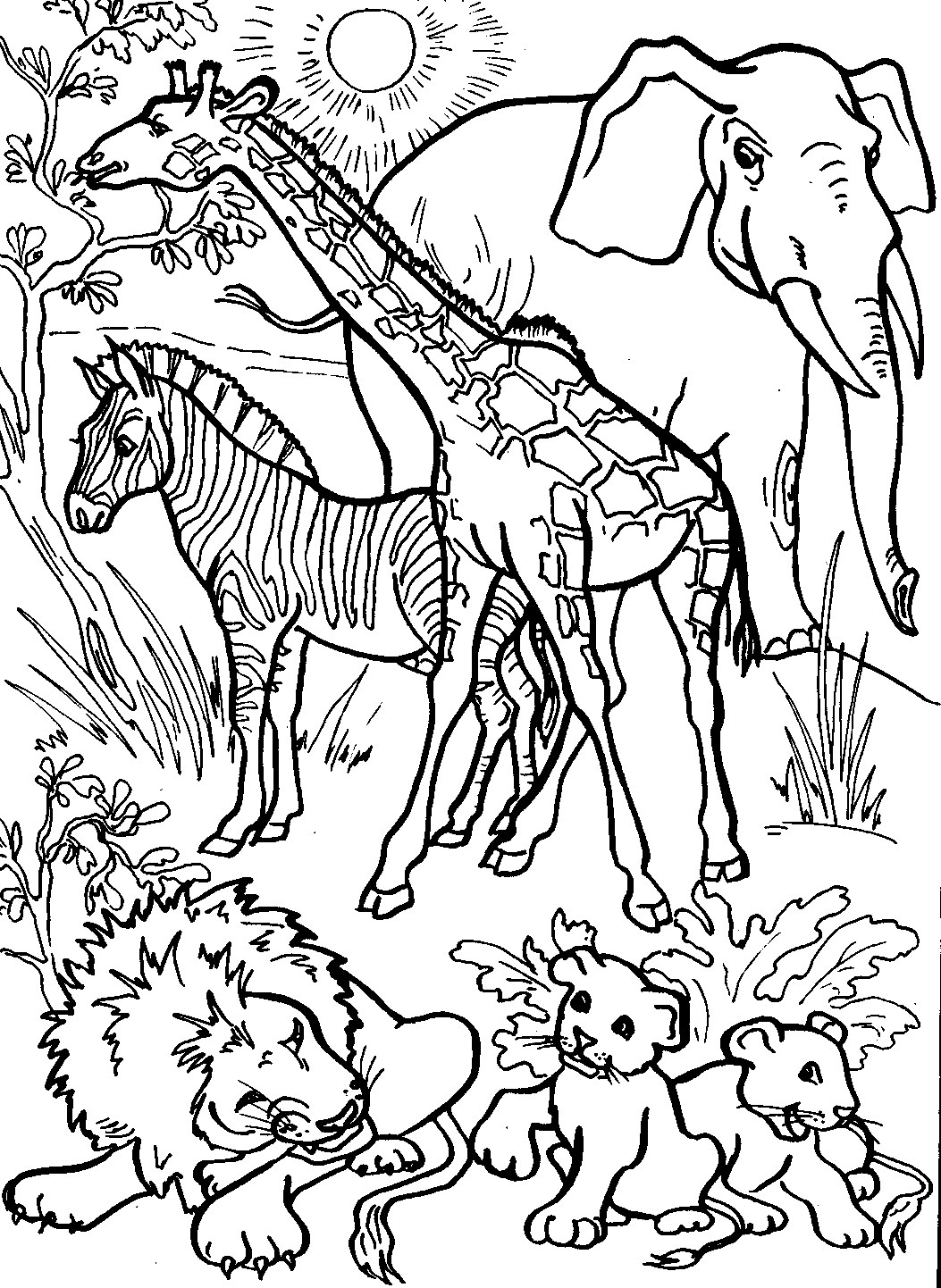 Download Animals of hot countries Coloring Pages to download and print for free