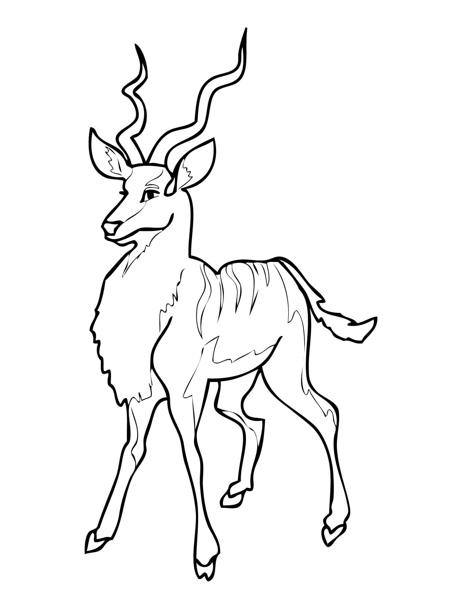 Antelope Coloring Pages to download and print for free