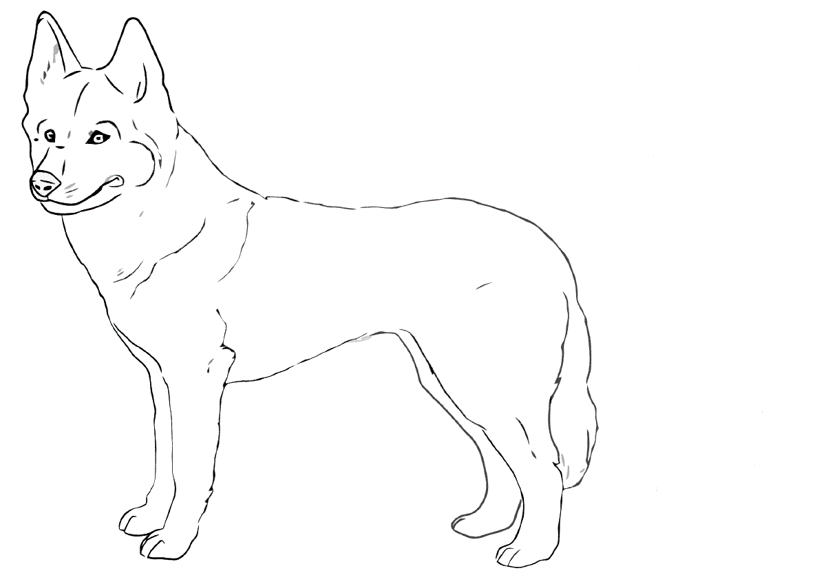 Eskimo dog Coloring Pages to download and print for free