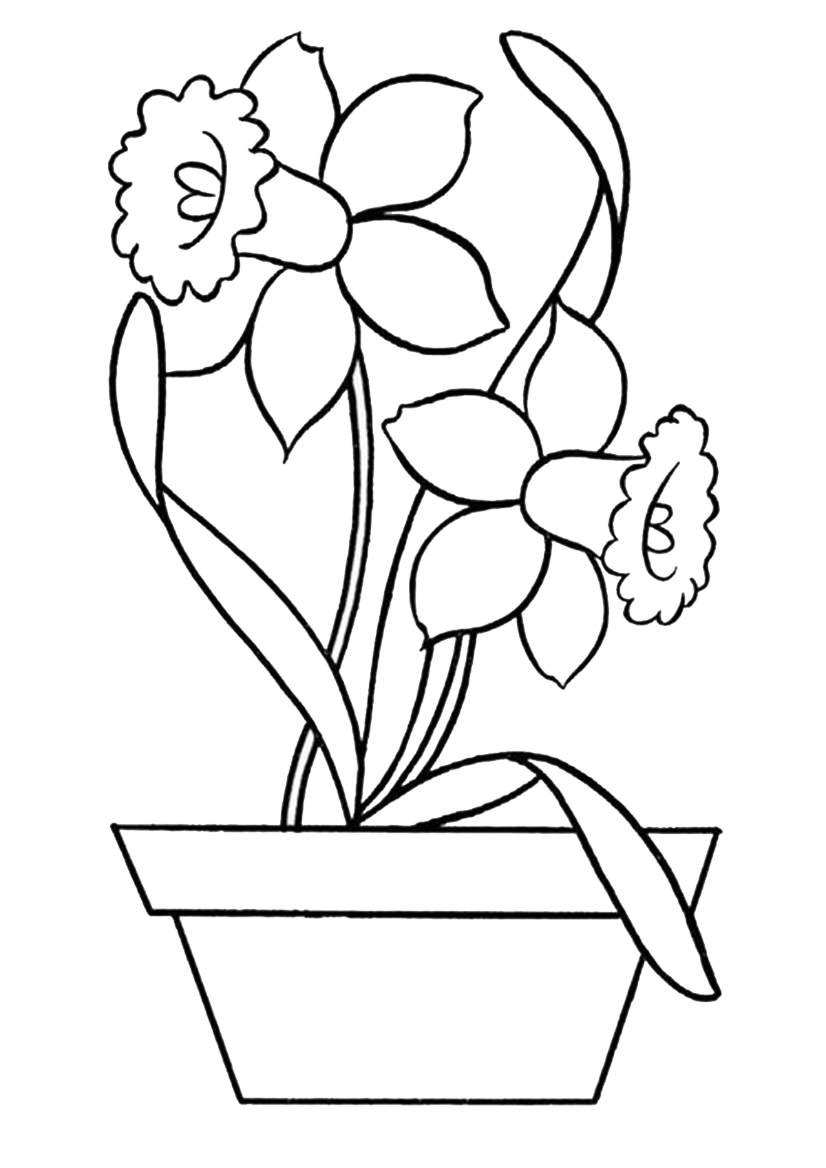 daffodil coloring pottery outline flower drawing daffodils colouring narcissus easy netart printable getcolorings bees getdrawings