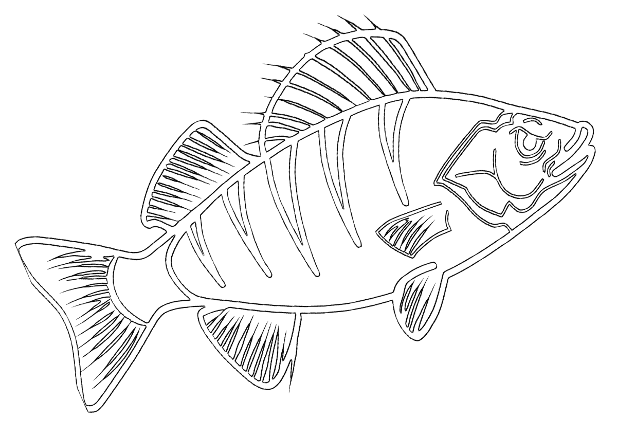 Perch Coloring Pages to download and print for free