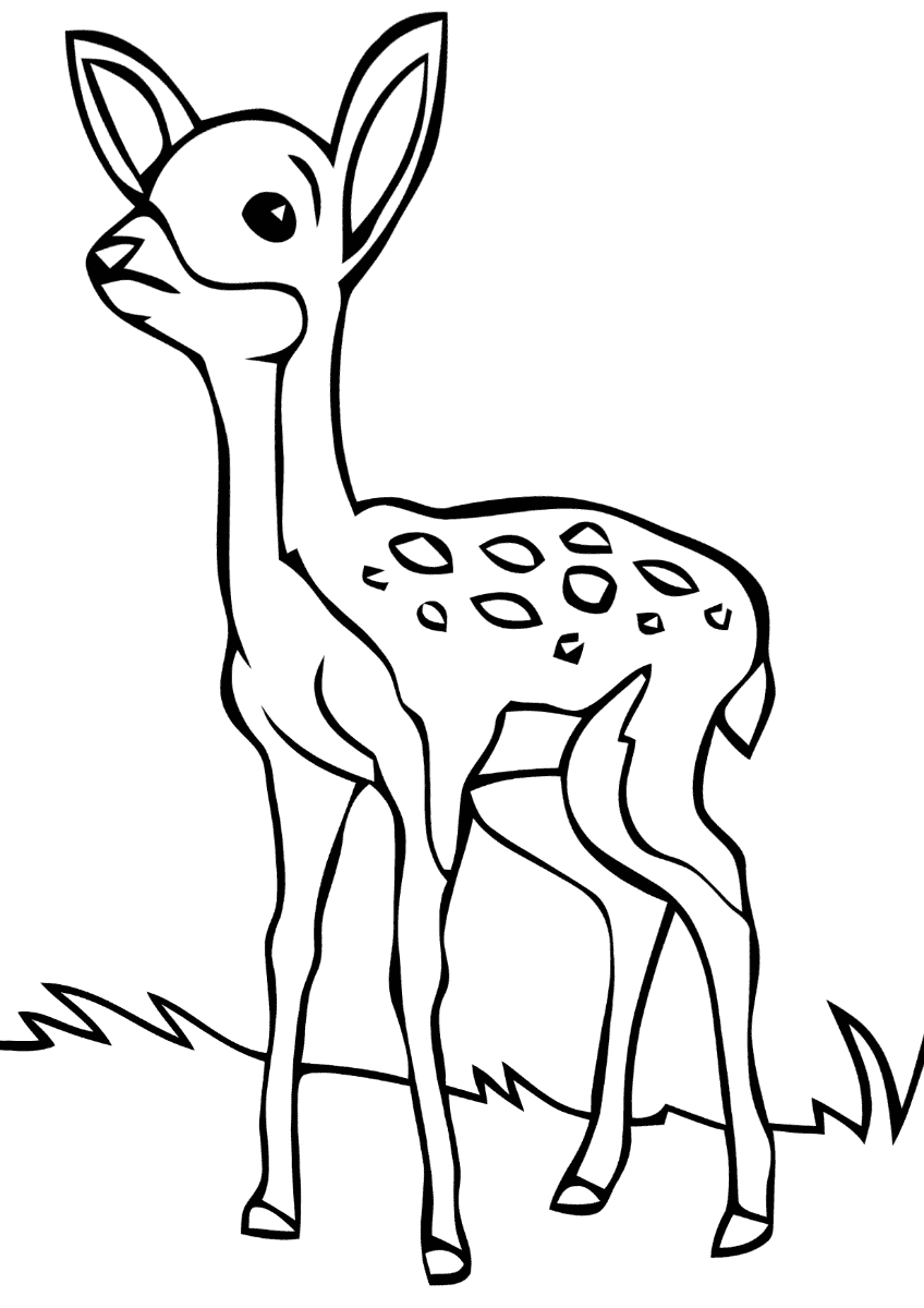Fawn Coloring Pages to download and print for free