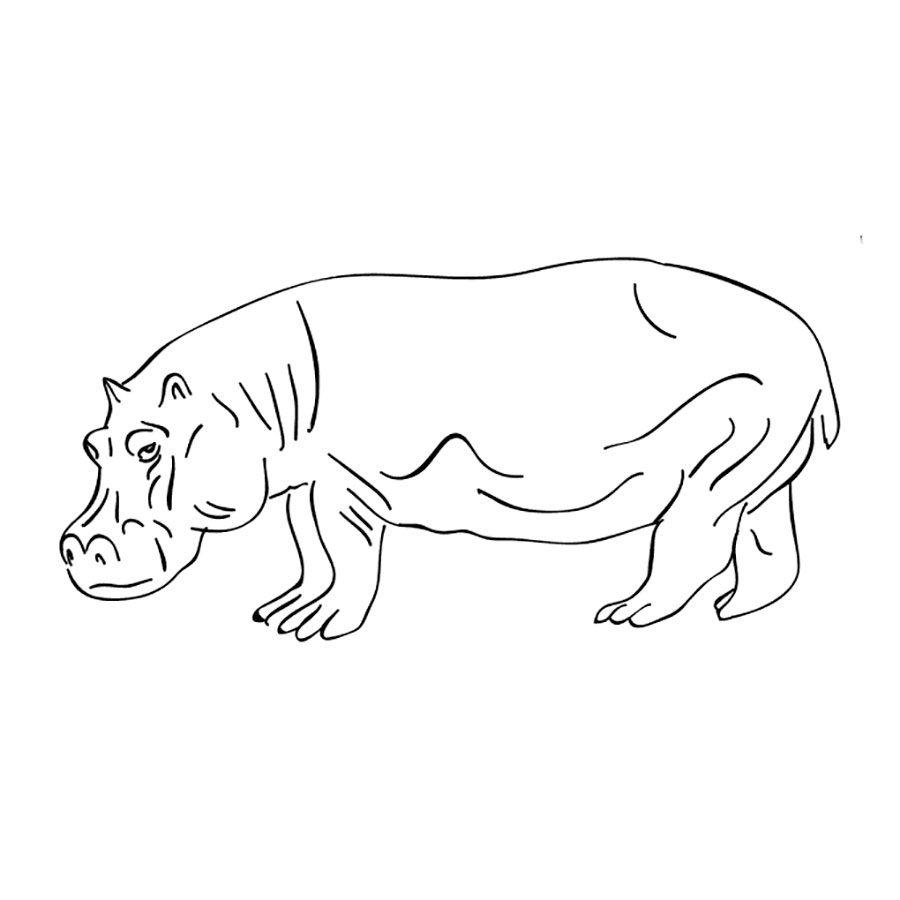 Animals of hot countries Coloring Pages to download and print for free