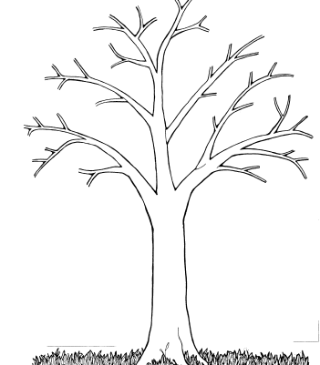 Picture Of Tree Without Leaves Coloring Pages 1