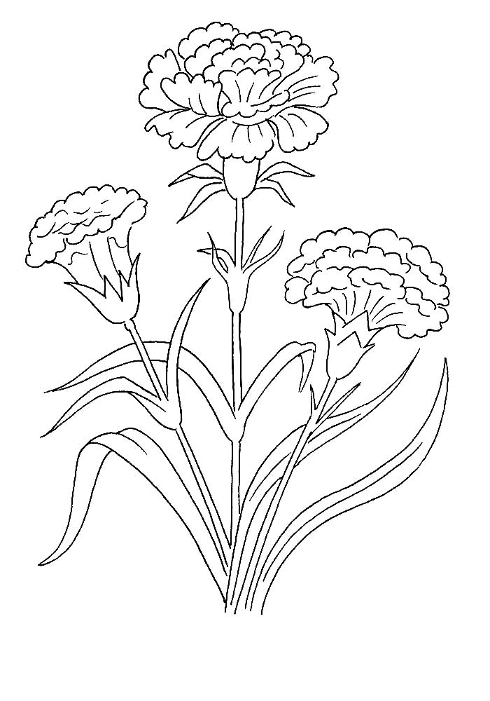 47+ free easter coloring pages for adults Hairstyle coloring pages to download and print for free