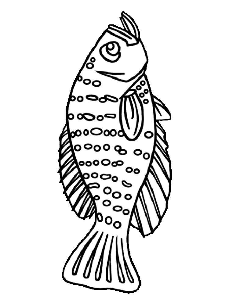 Perch Coloring Pages to download and print for free