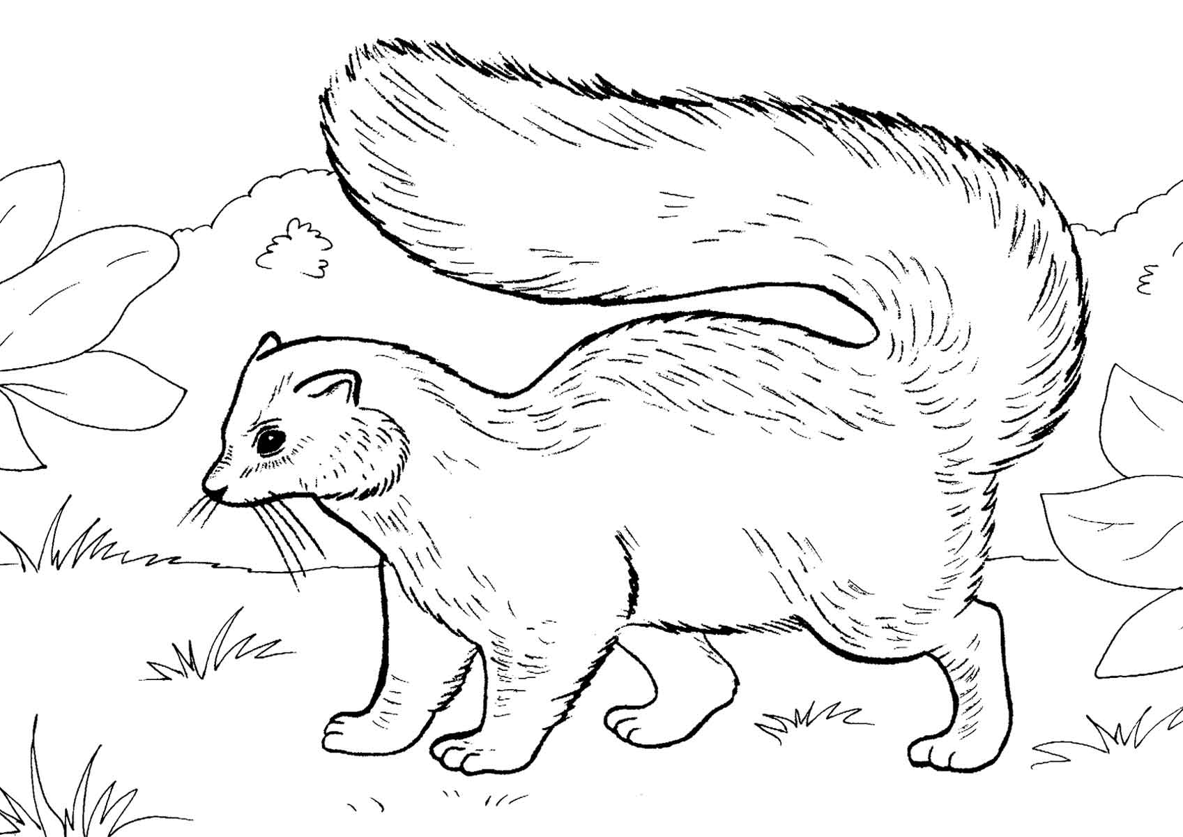 bambi skunk coloring page