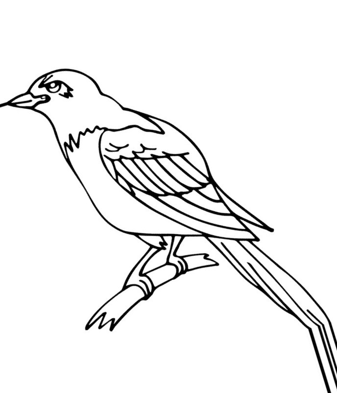 Crow Coloring Pages to download and print for free