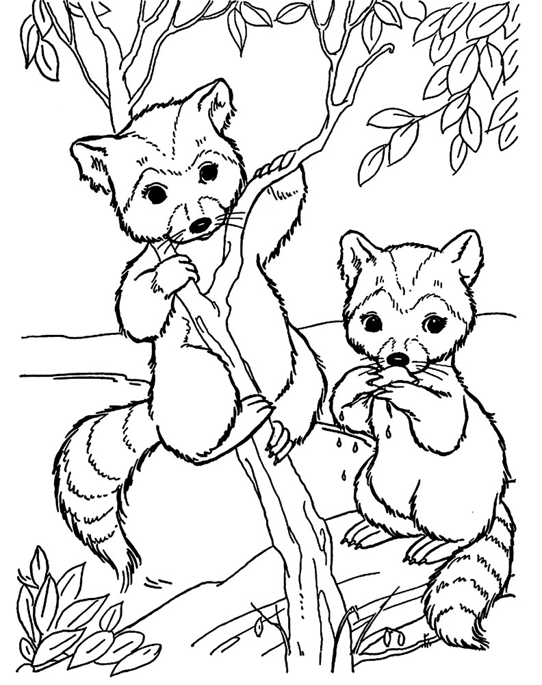 Forest animal Coloring Pages to download and print for free