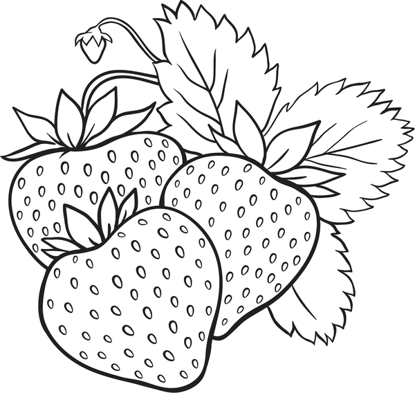 Strawberry coloring pages to download and print for free